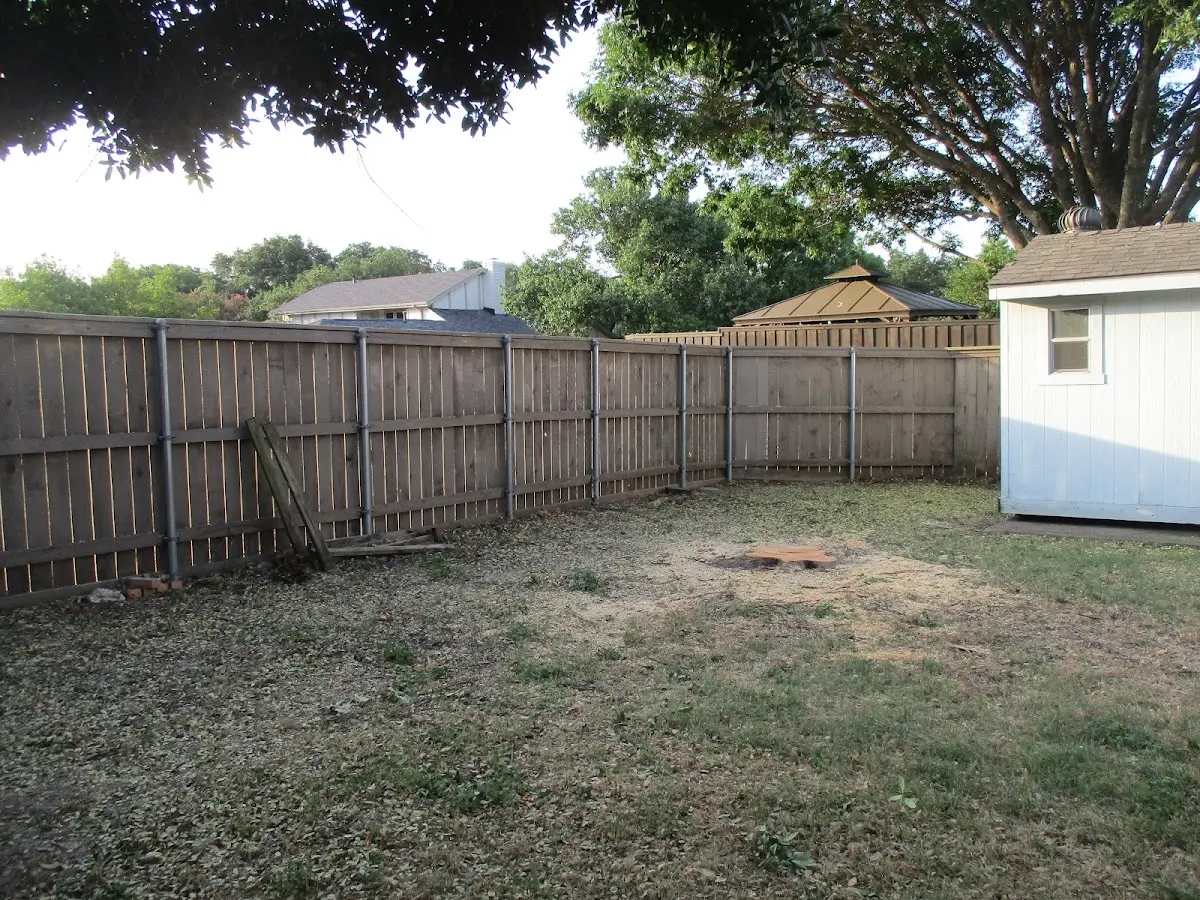 Cleared yard after professional tree removal in New Waterford